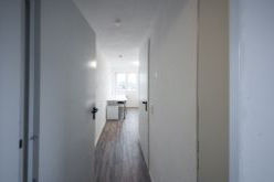 Blick in ein 1-Zimmer-Apartment